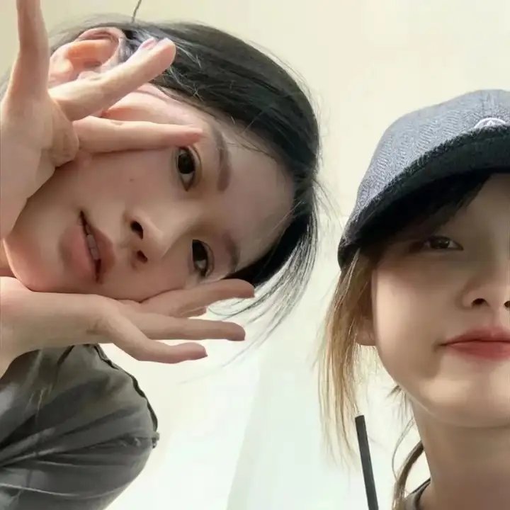 鹬